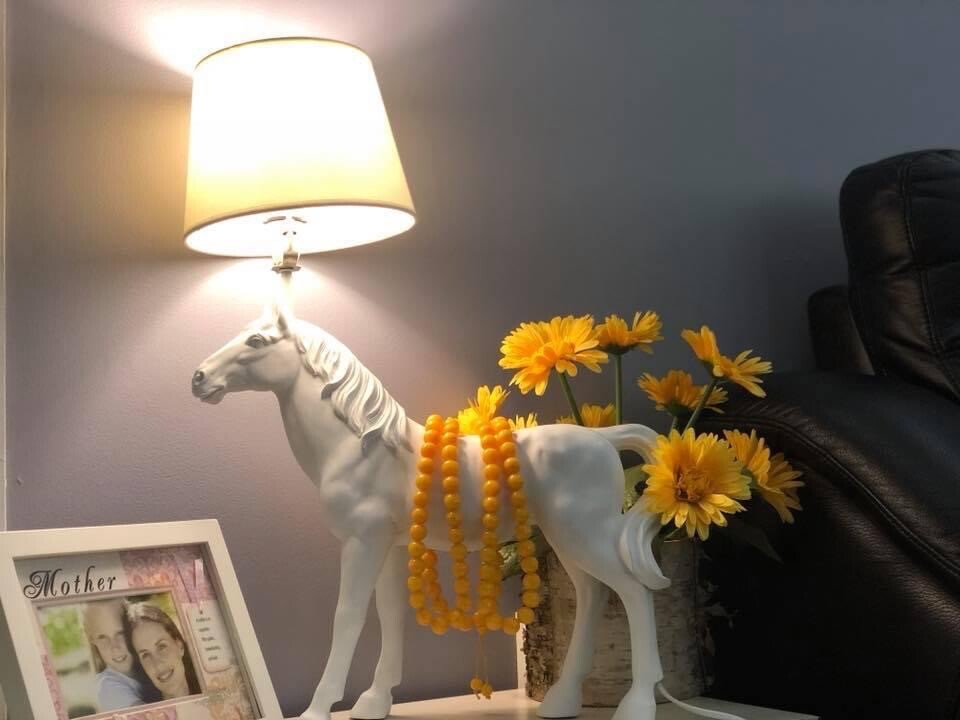 Picture 3 of 11