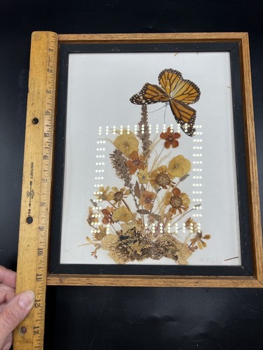VTG Framed Real Butterfly Dried Floral Boho Wall Art 11x9” Monarch Signed - Picture 5 of 6