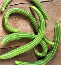Dark Armenian Cucumber Seeds 50 SEEDS NON-GMO--BUY 4 ITEMS FREE SHIPPING