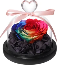 Preserved Rose Flowers in Glass Dome with Love Charm Anniversary Birthday Valent