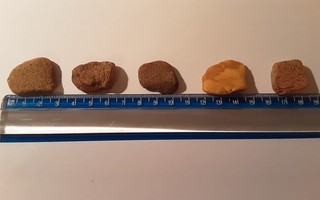 Bernstein Konvolut 14 2g / 5 stück