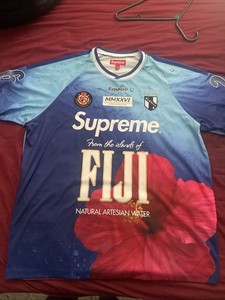 Supreme Fiji Shorts | eBay