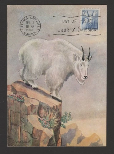 Canada 1956 wildlife issue set of 2 FDC maximum cards - Colorart