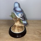 Picture 7 of 11