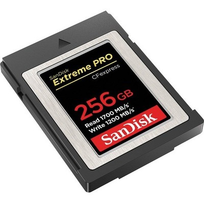 SanDisk Extreme PRO 256 GB CFexpress Card Type B - 1