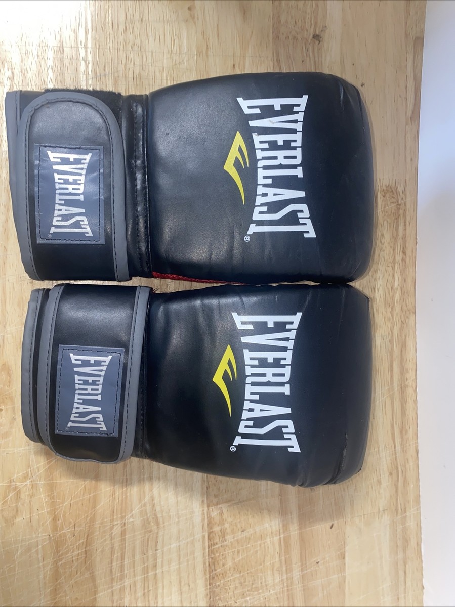 ボクシング EVERLAST POWERLOCK TRAINING GLOVES 14oz Powerlock 2R Training Gloves – Everlast
