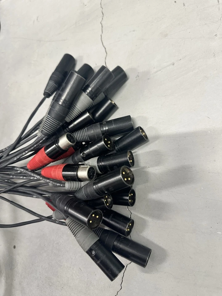 PEAVY 24 CANALES 100 PIES SERPIENTE TODO XLR ENVIAR Y RECIBIR Foto 2 de 2