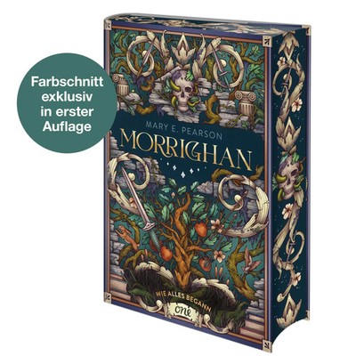 Mary E. Pearson | Morrighan - Wie alles begann | Buch | Deutsch (2024) | 240 S.