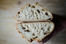 tangy very old very sour Wharf sourdough starter verified san francisco bonanza