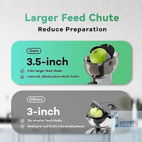 Masticating Juicer, 300W Professional Slow Juicer eBay