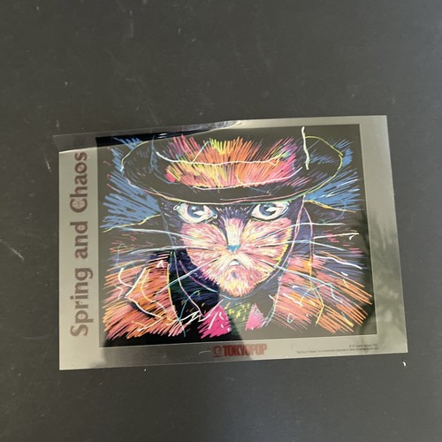 Spring and Chaos (DVD, 2001 W/ BOOKLET) SHOJI KAWAMORI RARE OOP Anime - Picture 5 of 8