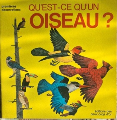 Was ist ein Vogel | Guter Zustand