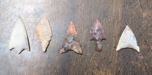 Authentic Lot (5) Sahara Neolithic Bird Point Arrowheads NW Africa Triangular #4