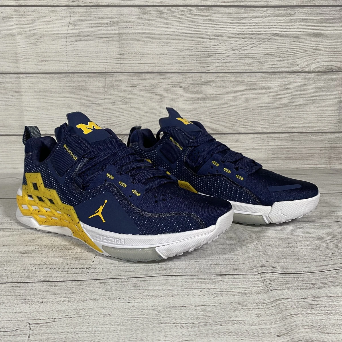 Jordan Alpha 360 TR Michigan for Sale | Authenticity  display picture 2