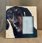 Animal Dachshund Photo frame Dogs Mans Best Friend picture Gf23B Susan Binc