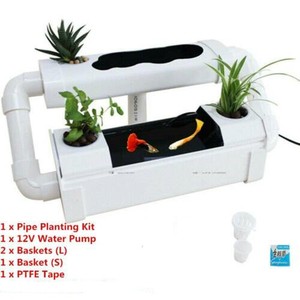 aquaponics