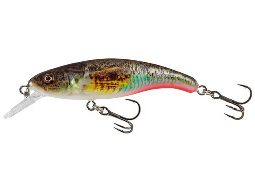 Salmo Slick Stick 6cm 3g Floating Lure Crankbait Perch Trout NEW COLOURS