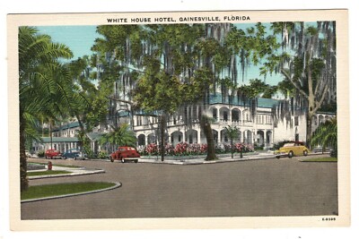 Gainesville Florida White House Hotel Vintage Cars View Postcard FL