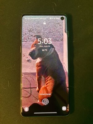 Samsung Galaxy S10 - 128 GB - Black (Unlocked) (Dual SIM (SIM + SIM))