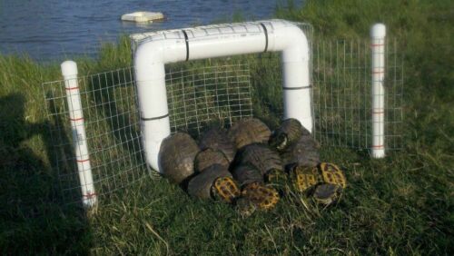 Floating Turtle Traps, No Bait Required, Great for Snapping Turtles, Humane - Picture 1 of 3