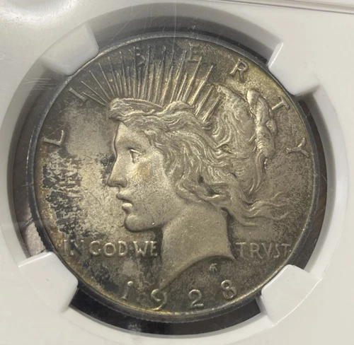 1928 Peace Silver Dollar NGC MS62 Key Date! Thick Dark Toning! 1928-P