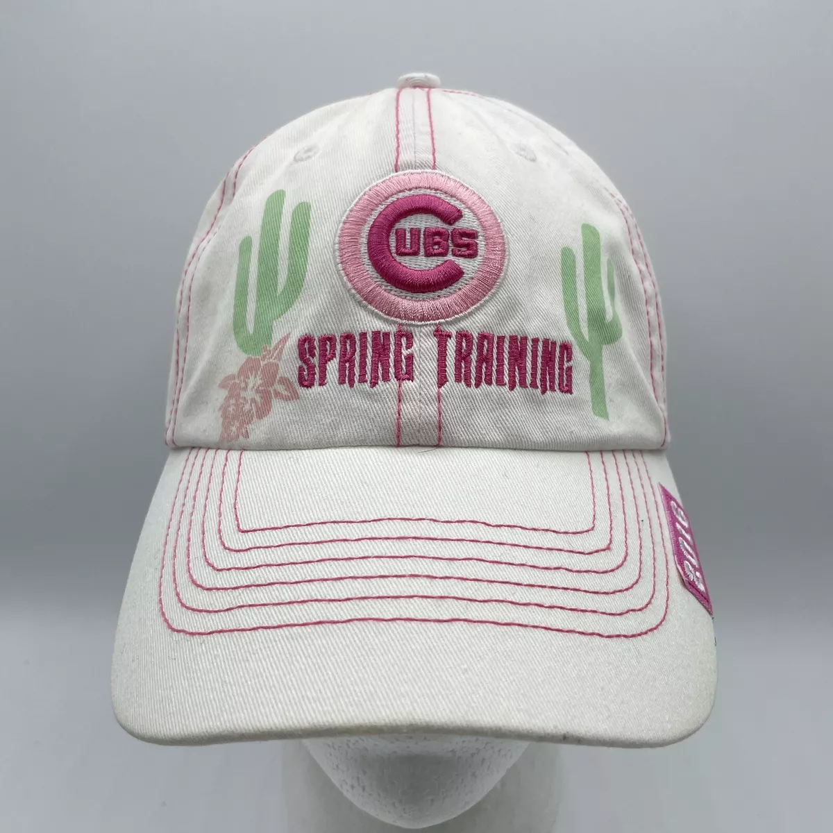 Cubs spring hot sale training hats 2019