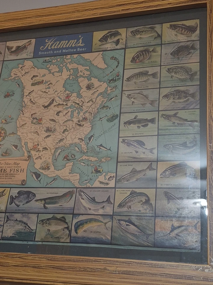VTG 1954 Hamms Brewery Game Fish Advertising Poster Rare 38×30in Frame HandMade - Image 2 of 4