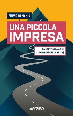 Fulvio Romanin Una piccola impresa. Da partita IVA a srl (senza perd (Paperback)