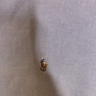 Foto 3 di 5