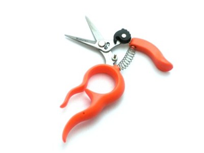 SABOTEN Stainless Steel Harvesting Scissors Free Ship w/Tracking# New from Japan