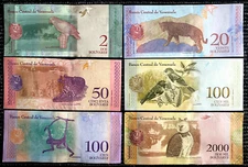 Venezuela Animal Banknotes Set 6 PCS – Wildlife Paper Money Collection Gift