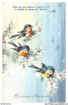 AGXP7-0536-BONNE-ANNEE - Bonne Année - Vögel - The One Die Me Findet A Trouvé