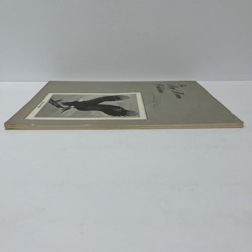 The Ray Harm Collection Exhibition Booklet 1971 American Eagle Artwork Sketches - Picture 6 of 17