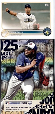 2025 Topps Vladimir Guerrero Jr. #TG-7 Training Grounds