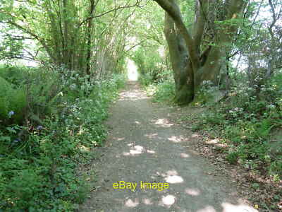 Foto 6x4 von Bäumen gesäumter Reitweg Hurst Wickham Norden neben Hassocks Gol c2011