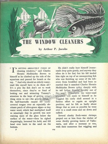 VINTAGE BOOK · DAILY MAIL ANNUAL FOR GIRLS · 1950s - Picture 4 of 4
