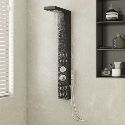vidaXL Duschpaneelsystem Aluminium Schwarz