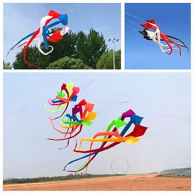2023 New 6-meter Kite Flying Large Kite Adult Kite Roll Anti Tear Gift toy