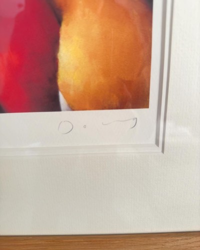 DOUG HYDE GICLEE ON PAPER ORIGINAL LIMITED EDITION "Pudsey" 444/995 - Picture 3 of 6