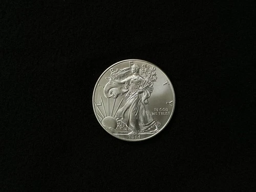 2014 American Silver Eagle BU 1 Oz Coin US $1 Dollar Mint  Uncirculated #7