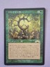 MTG Oath of Druids LP/NM - Magic: The Gathering - Exodus Japanese JPN - Card B