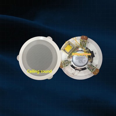 philips ceiling speaker