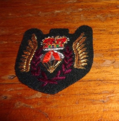 PARACHUTE BADGE,CANADA, PARA RESCUE, BULLION , B&T 796