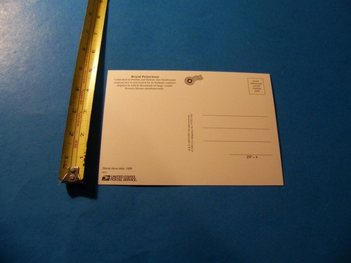 Postal Jumbo Flor Real Poinciana De Colección 1999 Arte Estampilla U.S.P.S. - Imagen 2 de 2