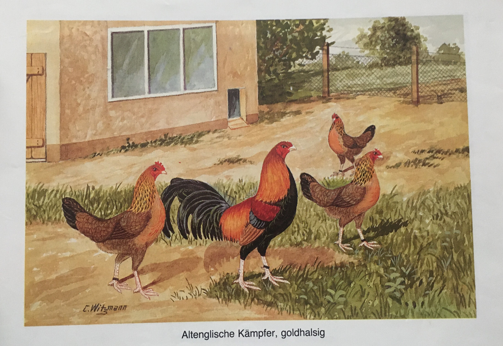 Bild 20 von 22