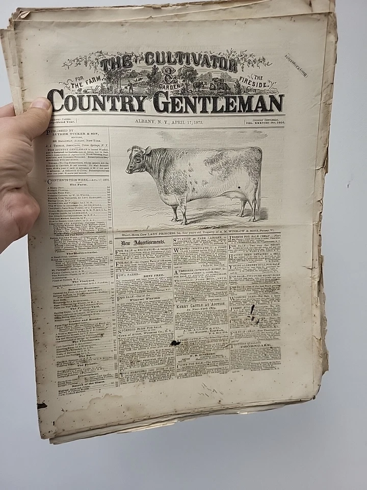 1873 Lot 40 Issues of The Country Gentleman Unbound Loose Engravings Agriculture - Image 2 of 4