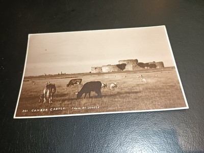 Rinder grasen auf Camber Castle, Nr RYE, Sussex RP