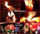 Bild 6 von 11