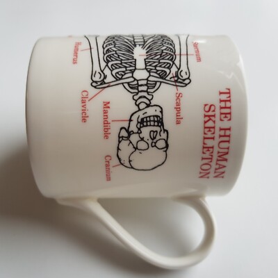 Menschliches Skelett Keramik Kaffee Tee Becher Medizinstudenten Picturemap McLaggan Smith