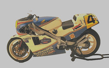 Honda Ns 500CC Protar 1/9 Scale Rothmans Raci...